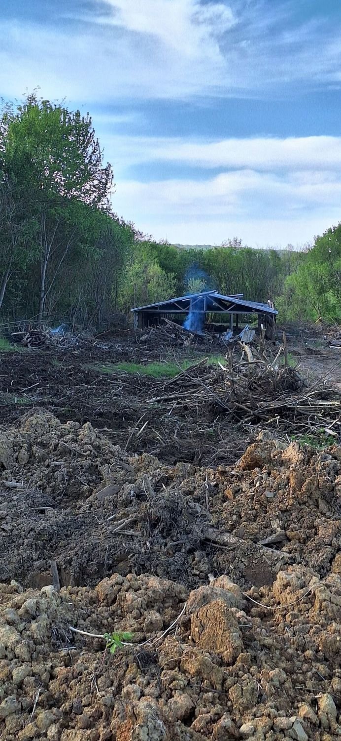 Brush clearing